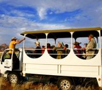 Game Drive